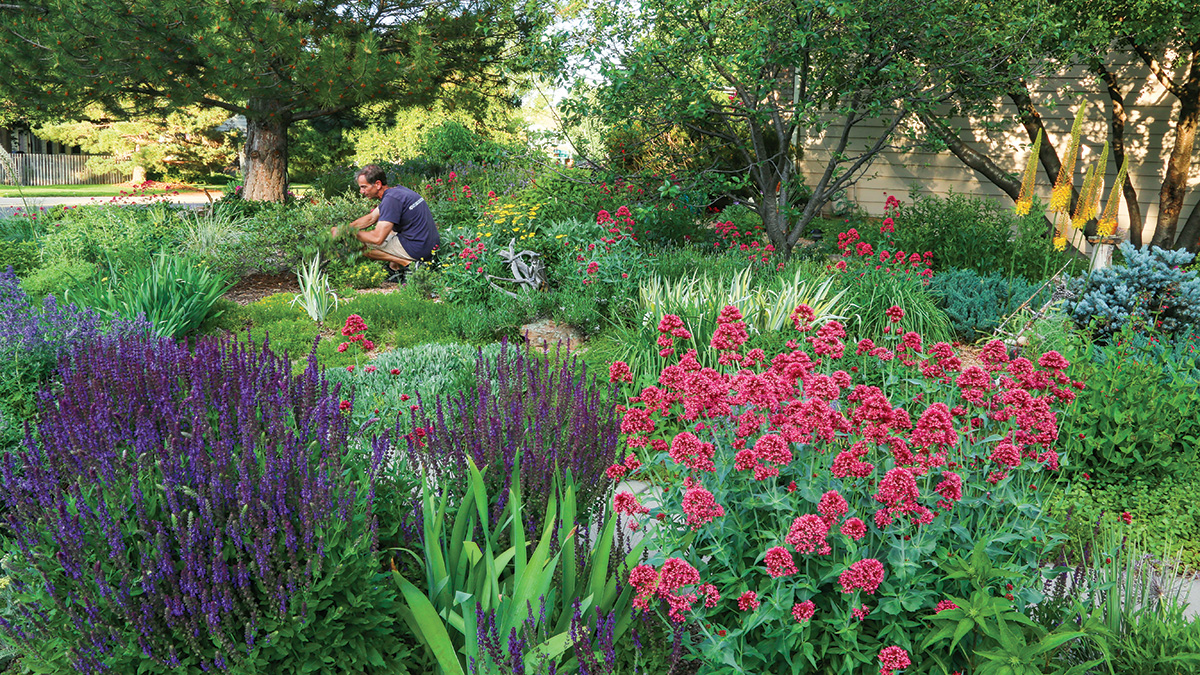 Water Wise Gardens